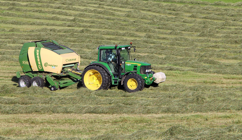 Rügener II-Phasenkalk - hochwertiger Kreidekalk mit hoher Reaktivität