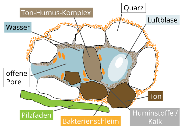 Nährstoffverfügbarkeit und der Boden-pH-Wert - Kreidekalk in der Landwirtschaft